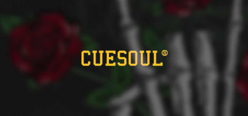 Cuesoul Darts